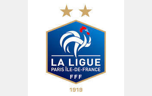 Journal Numérique de la Ligue Paris Ile De France