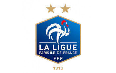 Journal Numérique de la Ligue Paris Ile De France